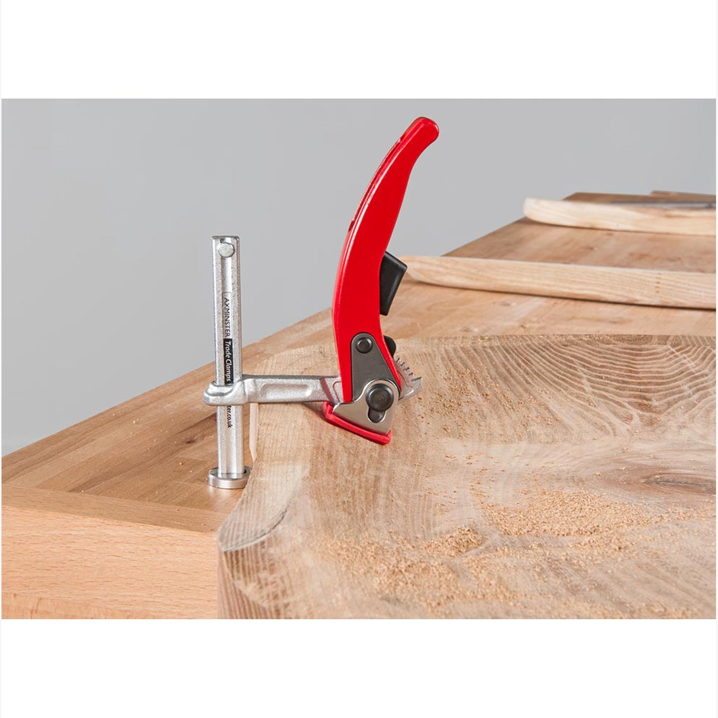 Ratchet Hold Down Clamp