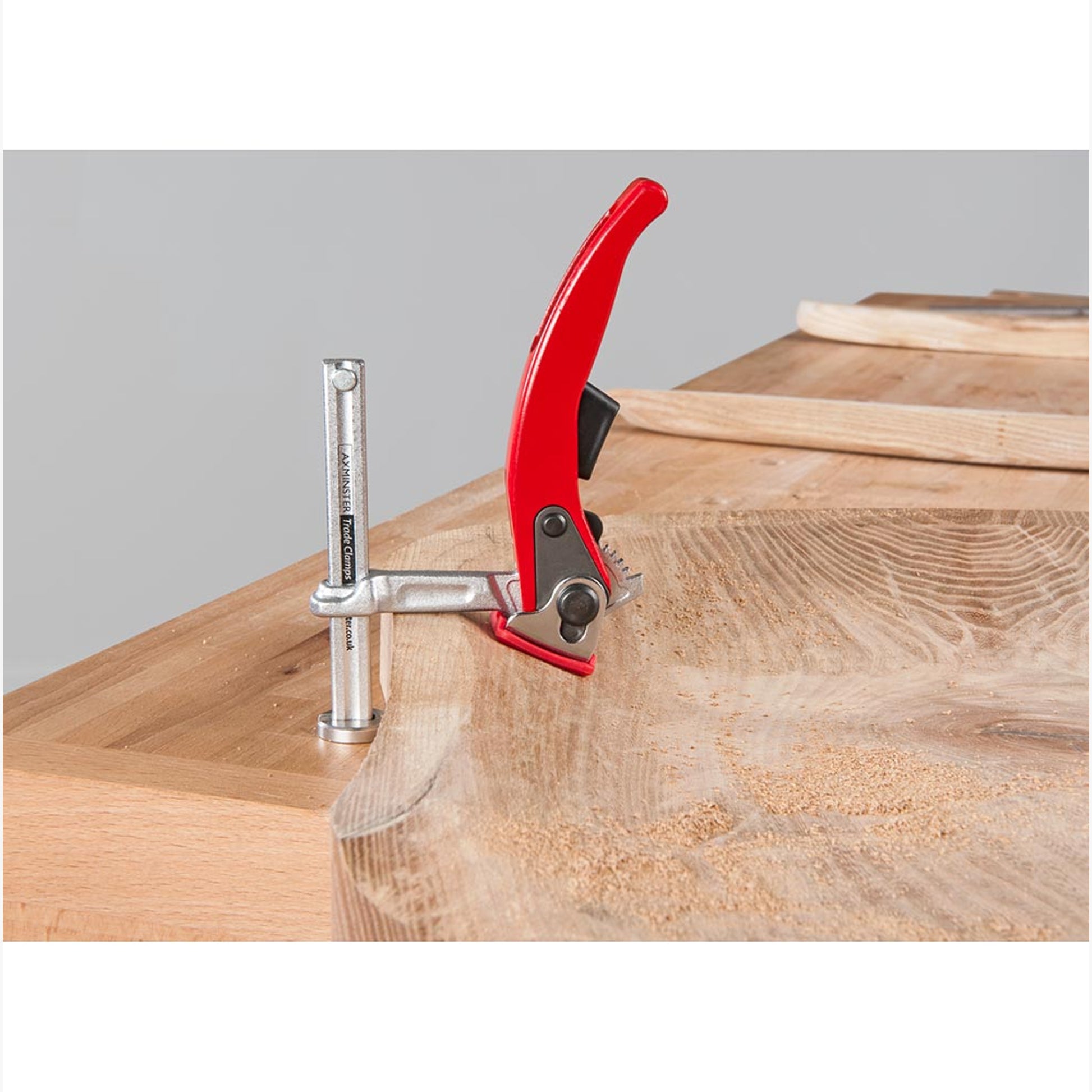 Ratchet Hold Down Clamp