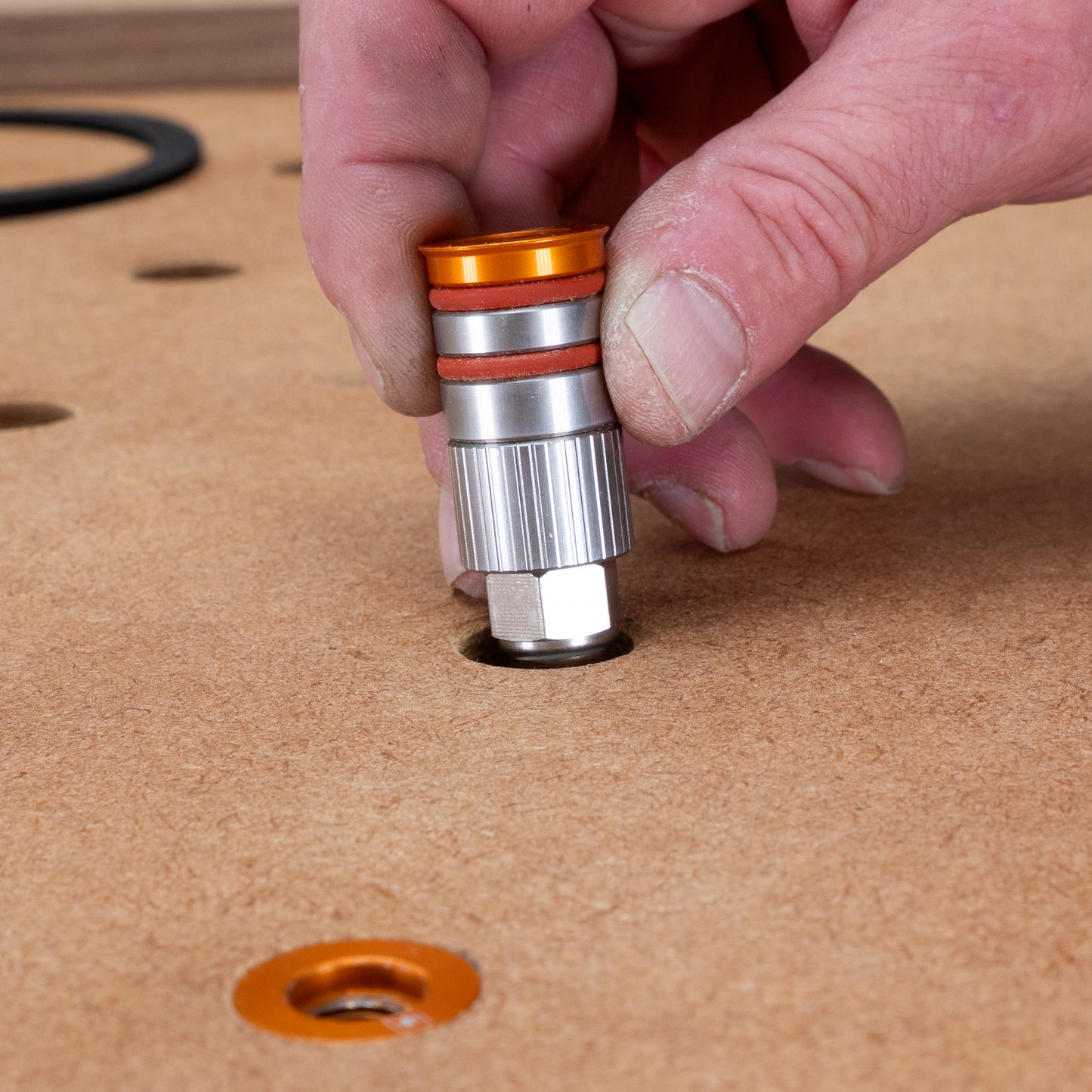 V Dog