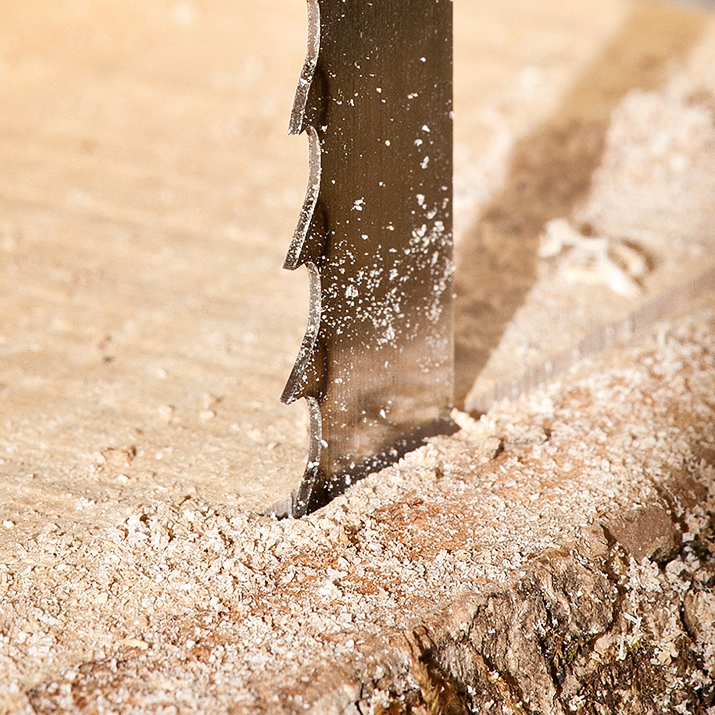GT Ripper Bandsaw Blades
